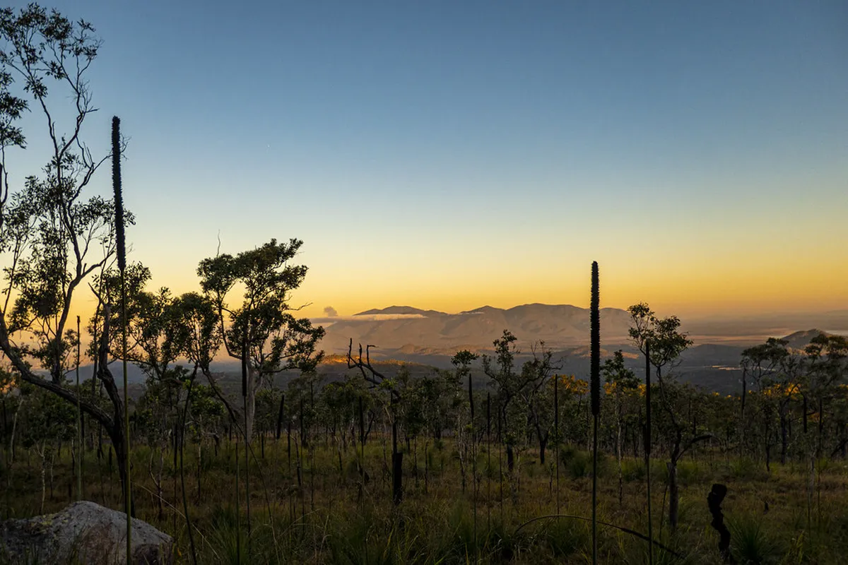 Introduction to townsville