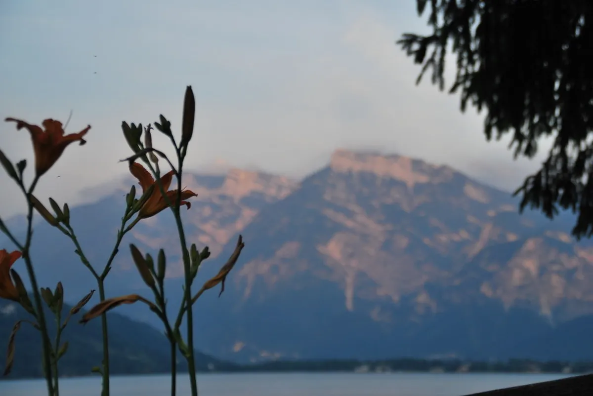 Trentino