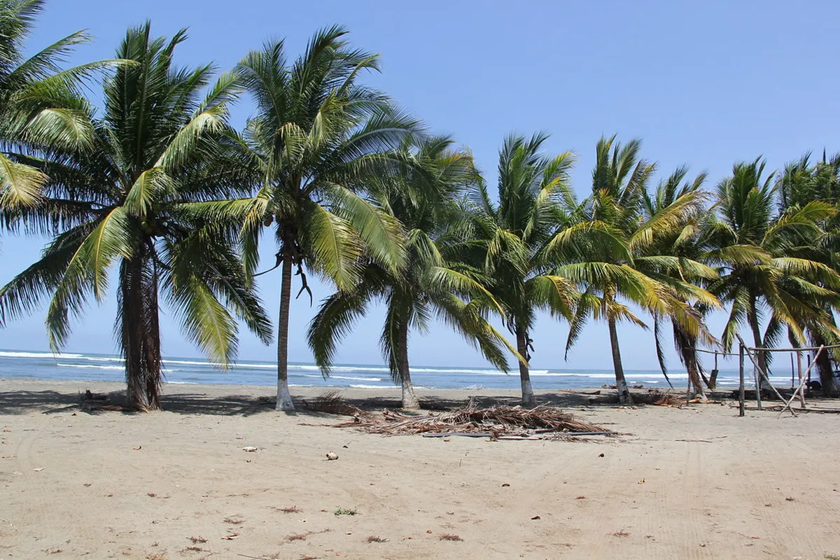 Introduction to troncones