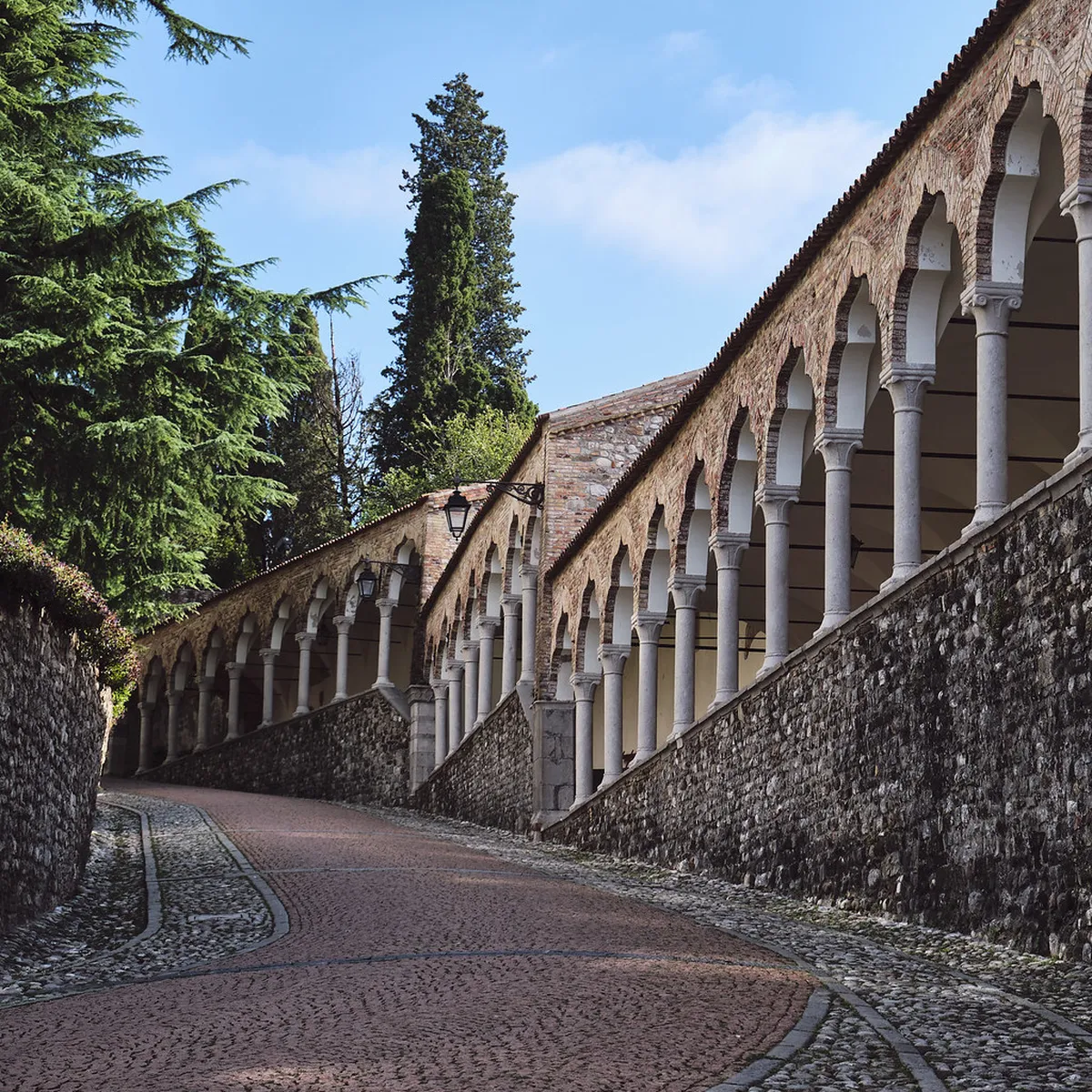 Introduction to udine