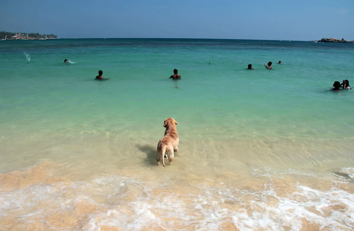 Introduction to unawatuna
