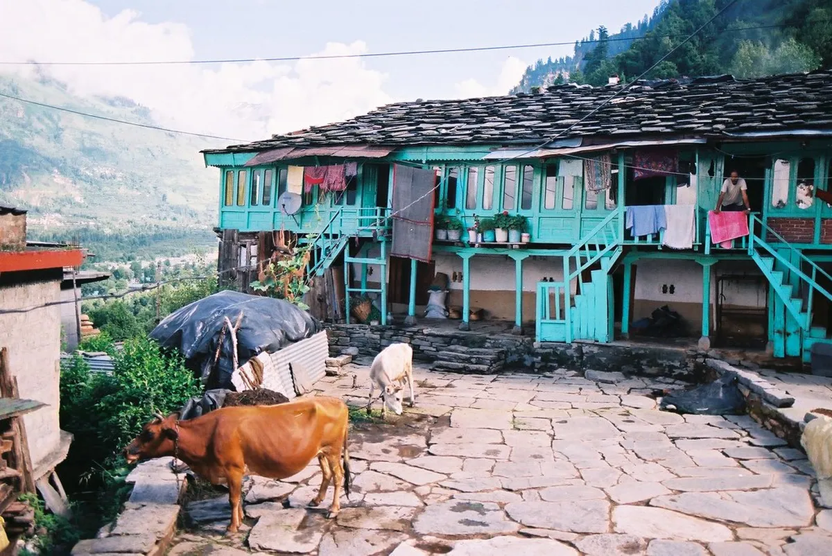 Vashisht