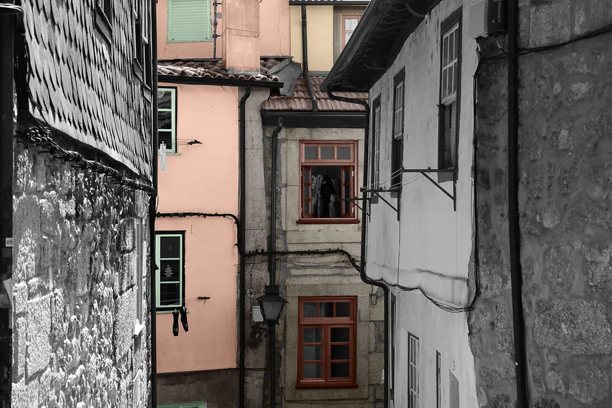 Introduction to viseu