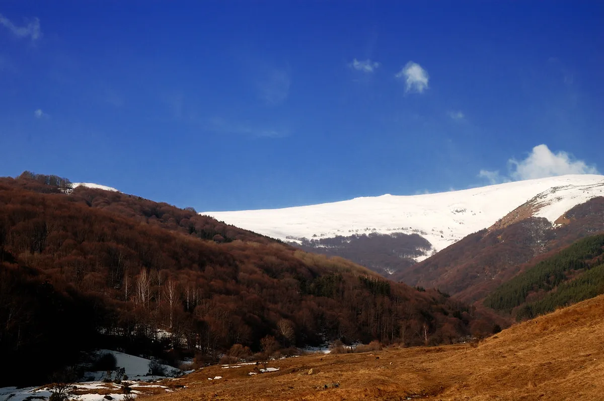 Vitosha Mountain