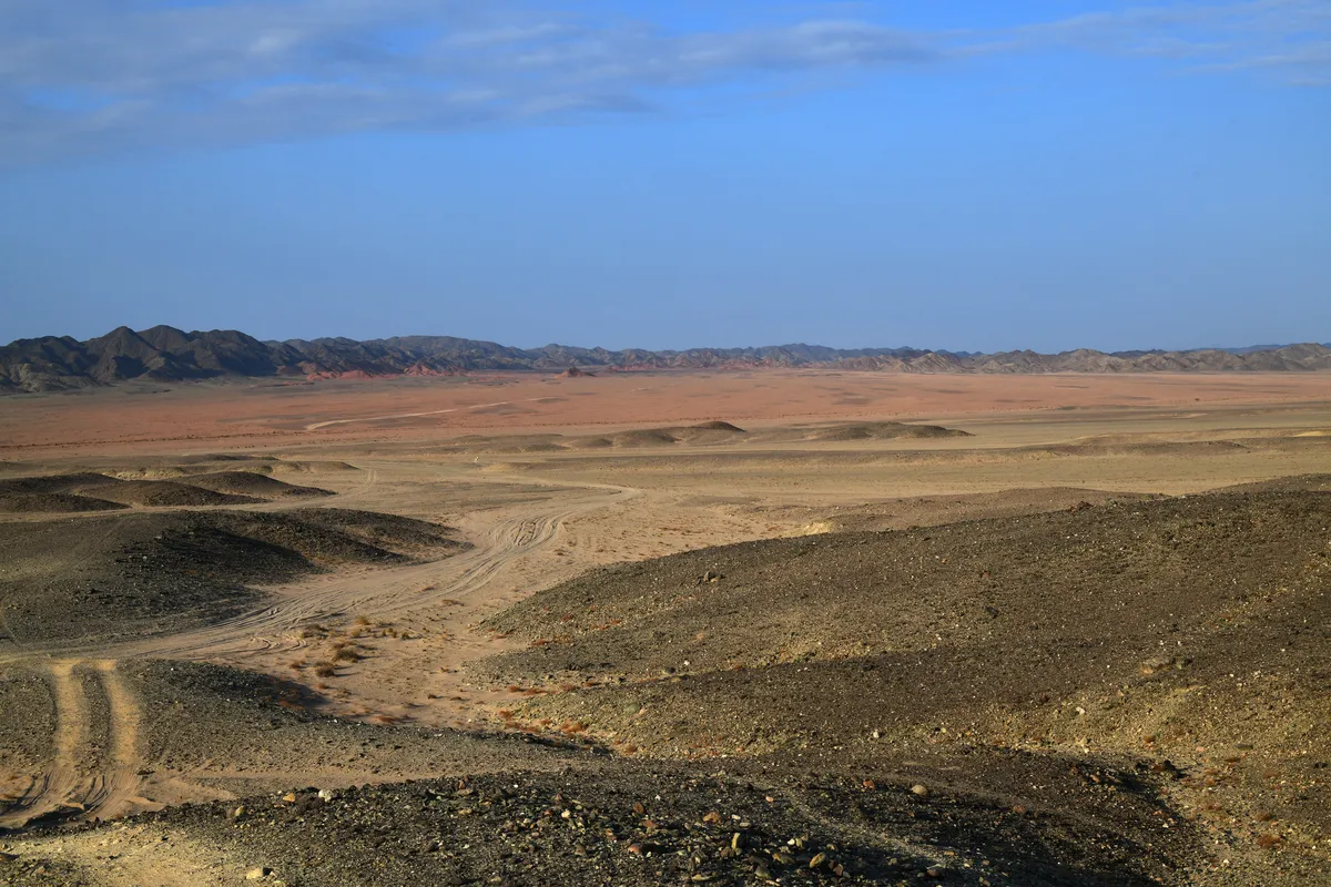 Wadi Gemal National Park