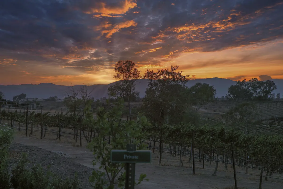 Wine Country