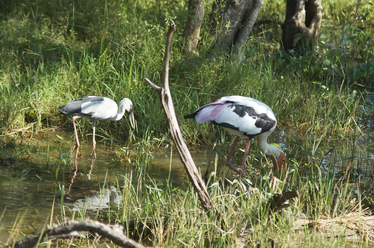 Yala National Park