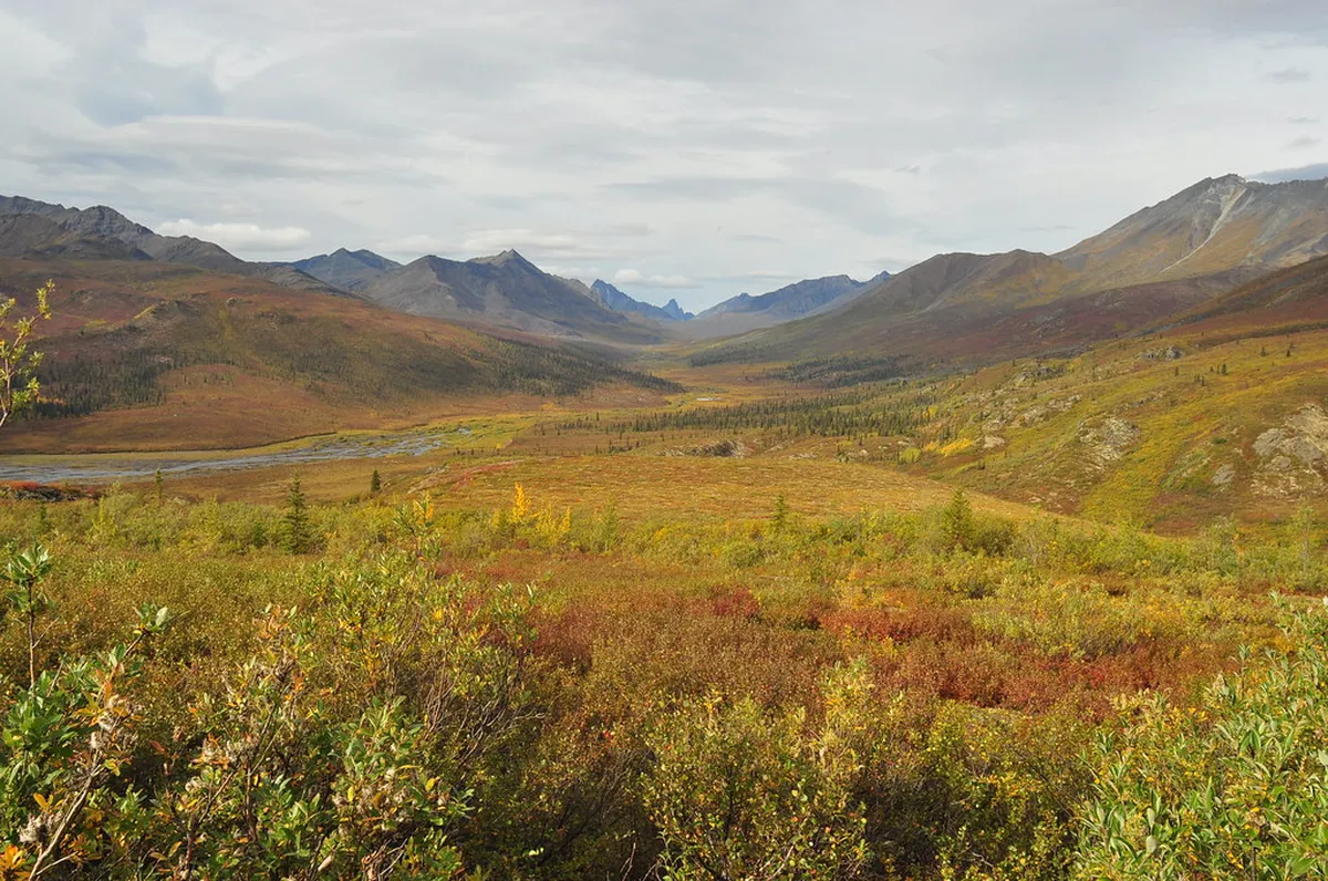 Yukon